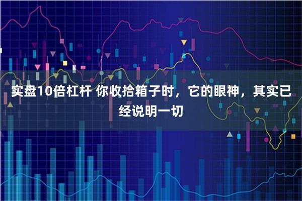 实盘10倍杠杆 你收拾箱子时，它的眼神，其实已经说明一切