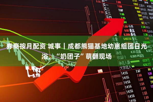 券商按月配资 城事｜成都熊猫基地幼崽组团日光浴，“奶团子”萌翻现场