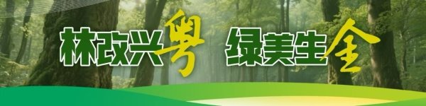 券商按月配资 绘就“机制活、产业优、百姓富、生态美”现代林业新图景